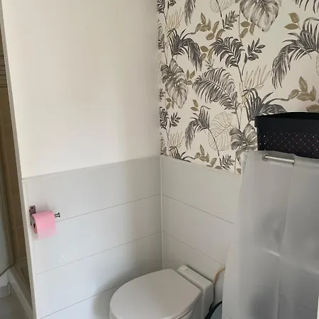 La Casa Des Hirondelles Proche De Walibi * Corbelin